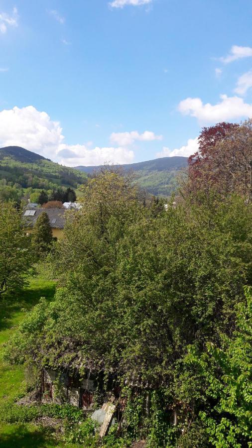 Apartmán Apartmán Lipa, Loučná nad Desnou Exteriér fotografie